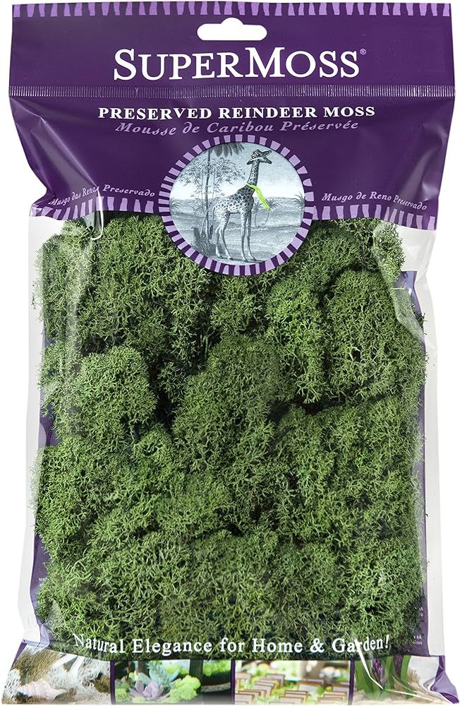 SuperMoss (23080) Reindeer Moss Preserved, Basil, 2 Ounces | Amazon (US)