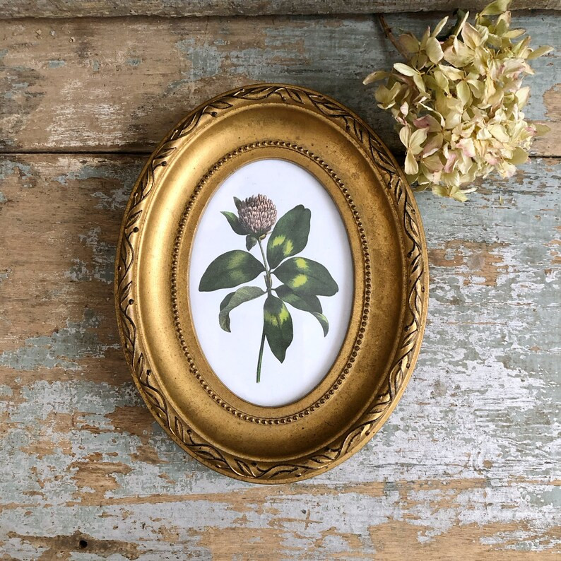 Small Vintage Floral Art  Botanical Art Print  Oval Gold - Etsy | Etsy (US)