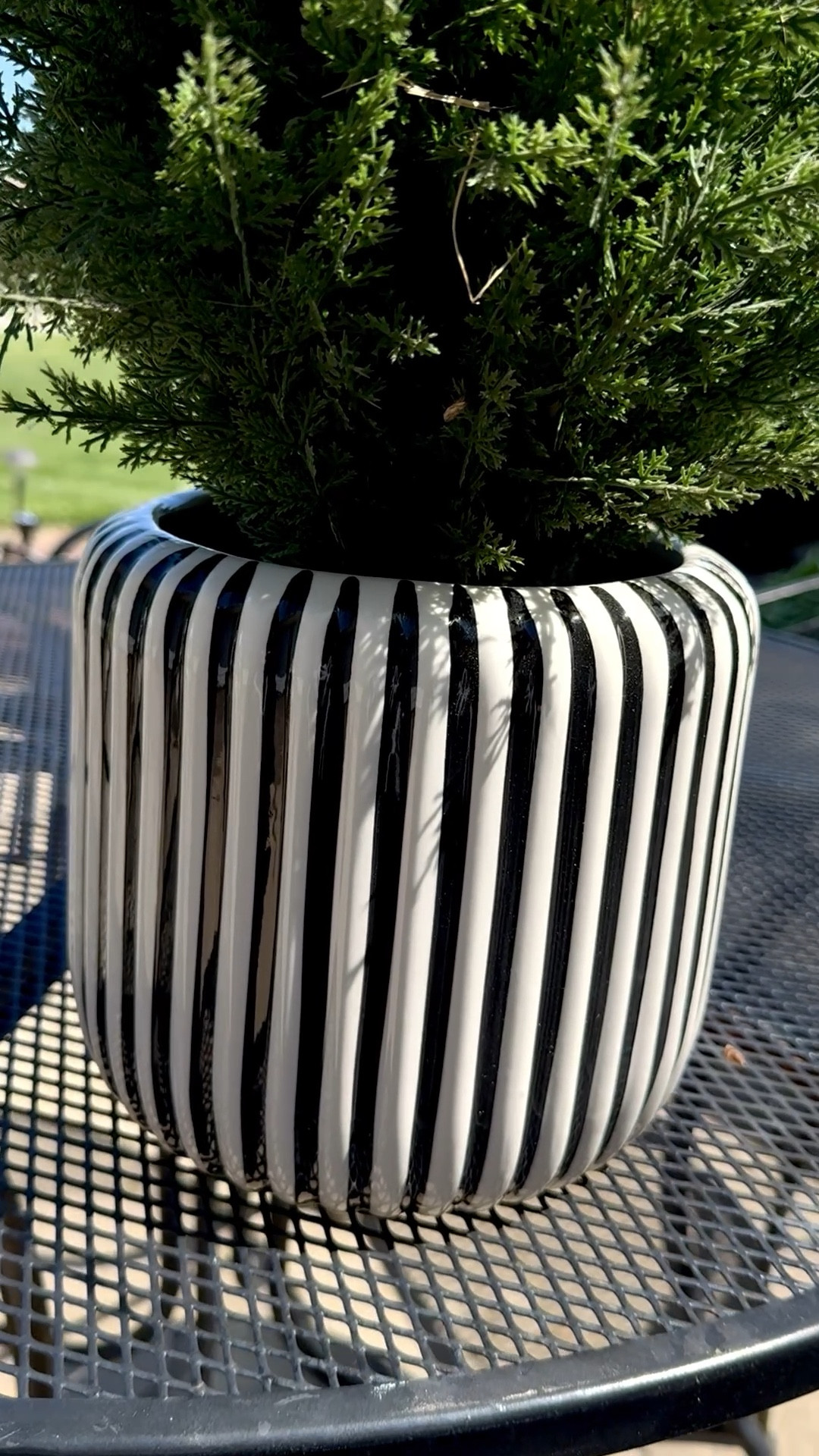 I bought 2 of these and put my faux cedar trees in them

#LTKSaleAlert #LTKU #LTKHome