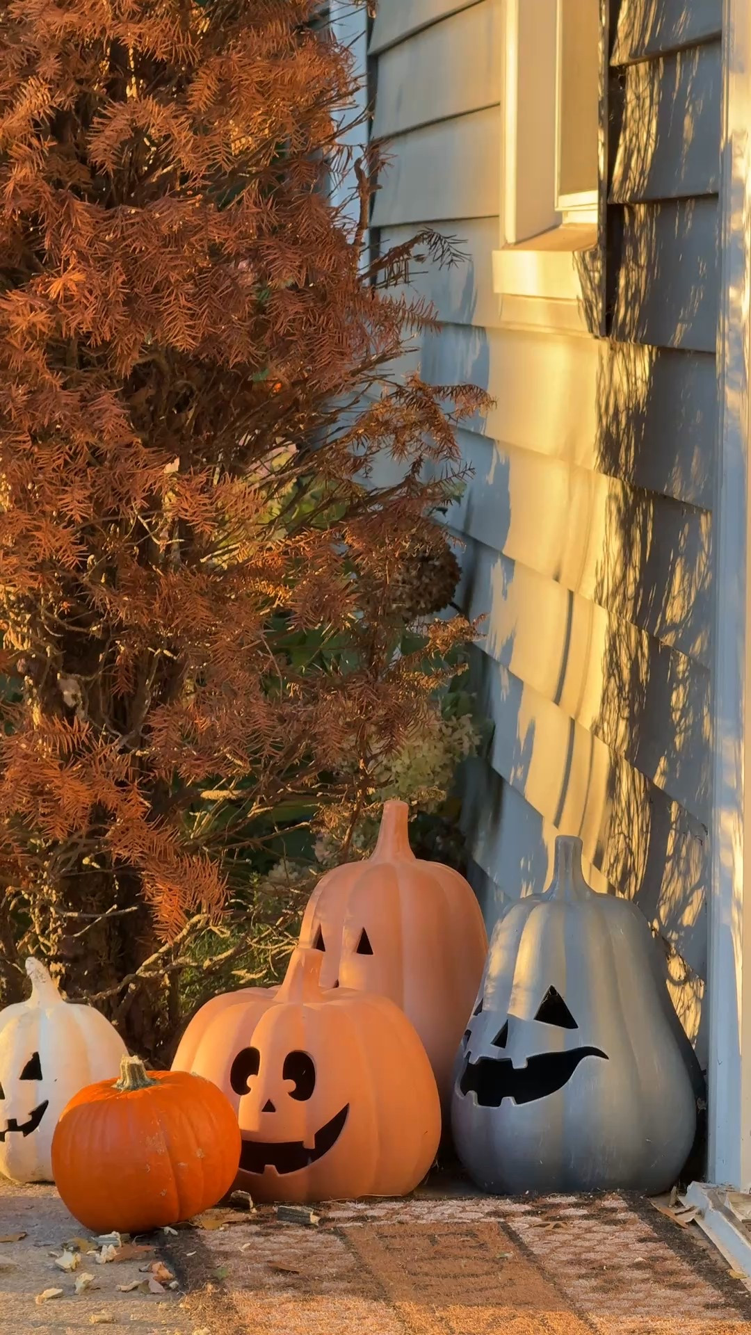 happy National 🎃 Day 🤍 National Pumpkin Day in 2025 is on Sunday, October 26. This unofficial holiday celebrates the autumn symbol of the pumpkin through activities like pumpkin carving, baking, and decorating. 

#LTKHoliday #LTKHalloween #LTKSeasonal