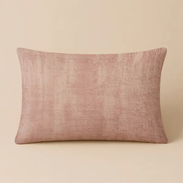 Indoor and Outdoor Throw Pillow | Wayfair North America