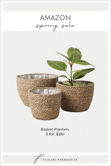 Hi cute are these plastic lined basket planters? Great for a waste basket too. 

Amazon Spring Sale, home decor 

#LTKSeasonal #LTKhome #LTKsalealert