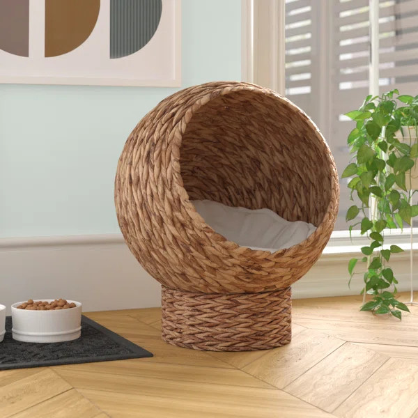 Esperanza Designer Round/Oval Cat Bed | Wayfair North America