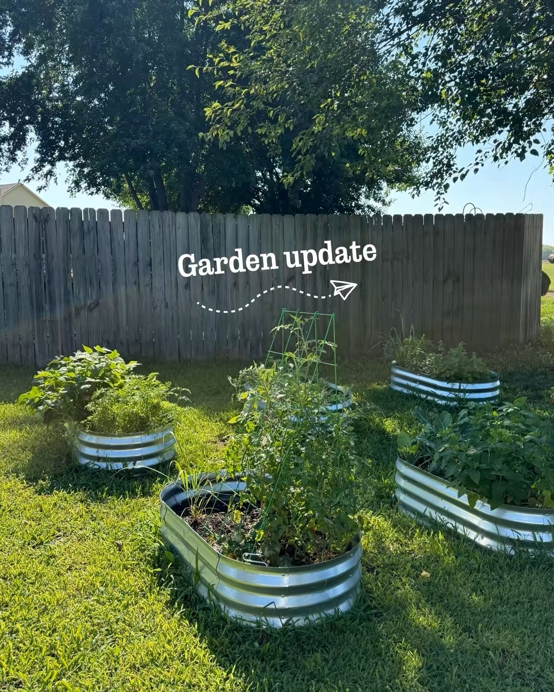 Garden update from my oldest! 

 🌱 She’s growing tomatoes, herbs, and watermelon in these raised metal garden beds, with sunflowers and wildflowers blooming all around her greenhouse. 

There are so many fun things popping up out there right now. 

I love getting these little glimpses into the life she’s building.

I linked the exact raised beds, pruning shears, trellis system, melon cages, and the wildflower and sunflower seeds if you want to start growing your own.

#LTKdayinmylife #LTKmomlife #LTKSeasonal