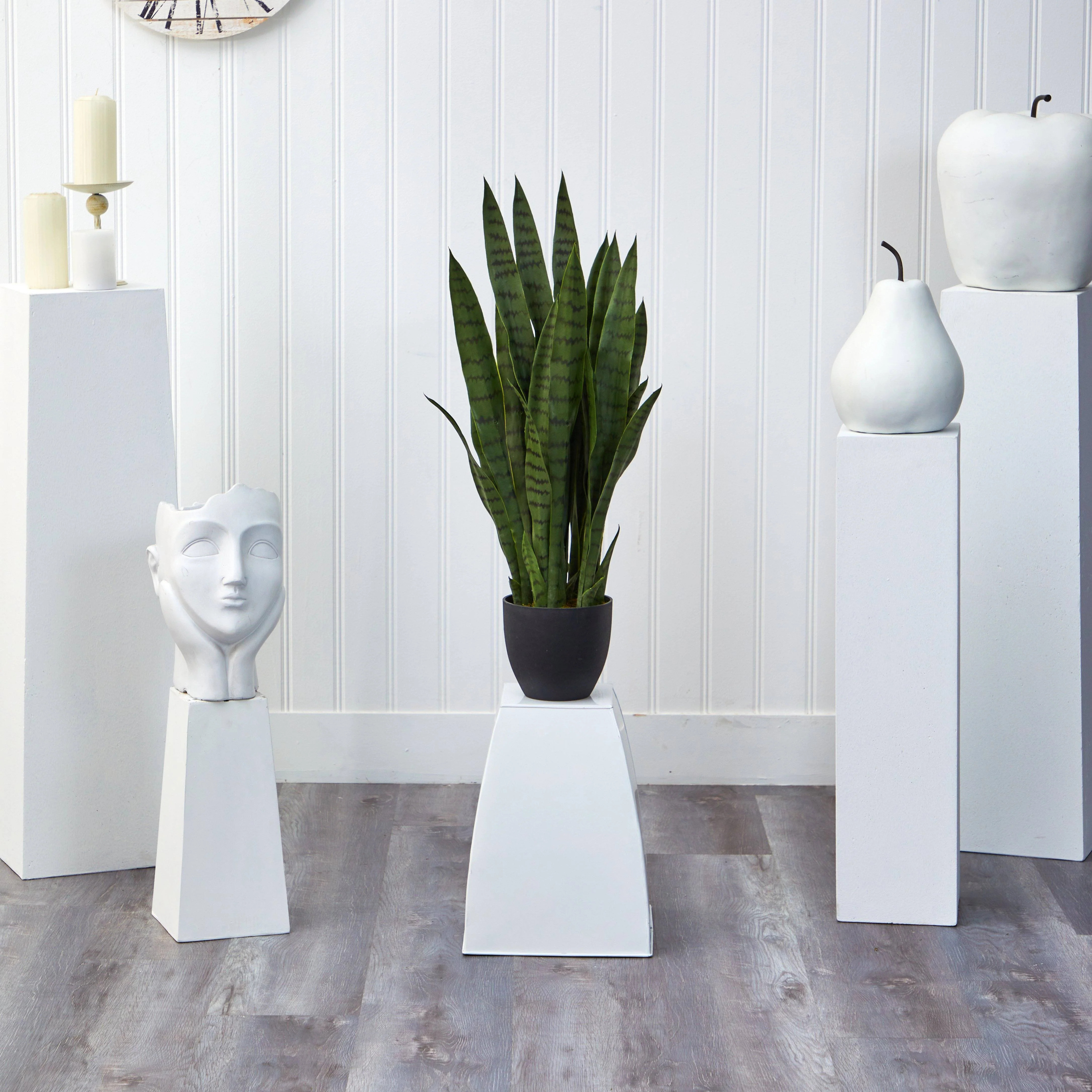 Sansevieria w/Black Planter | Nearly Natural | Nearly Natural