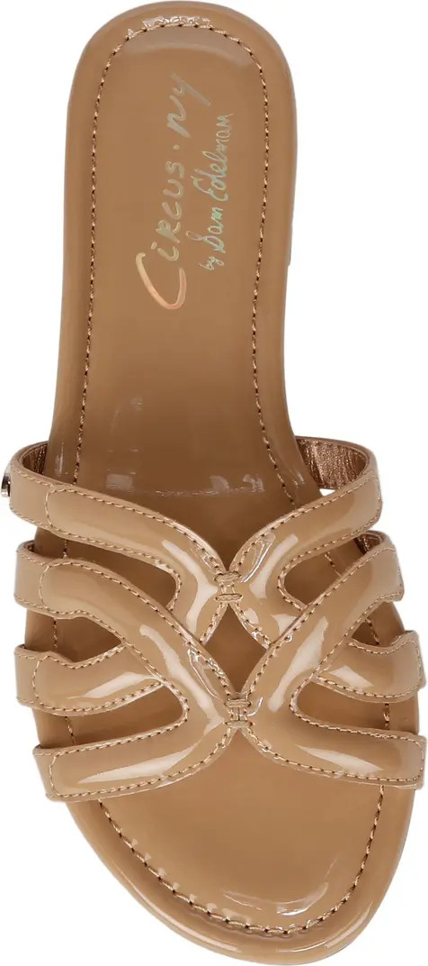 Circus NY by Sam Edelman Cat Slide Sandal (Women) | Nordstrom | Nordstrom