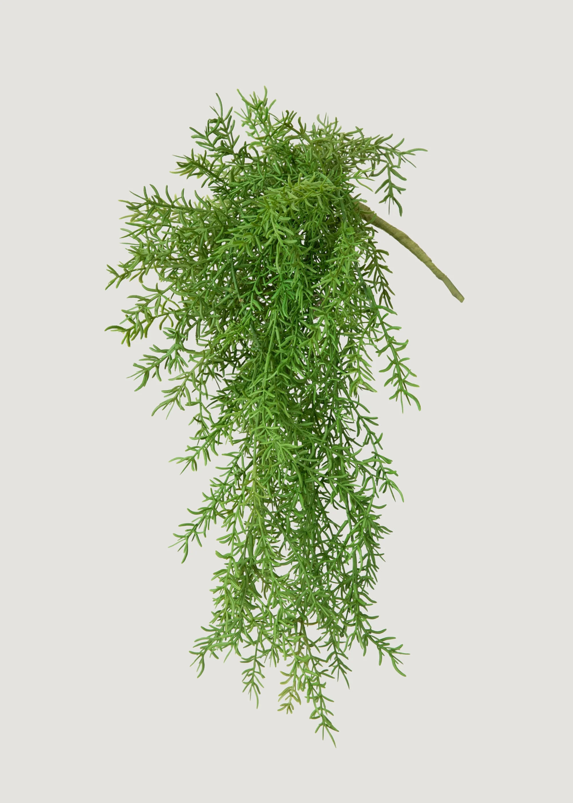 Fake Hanging Asparagus Fern - 22" | Afloral | Afloral