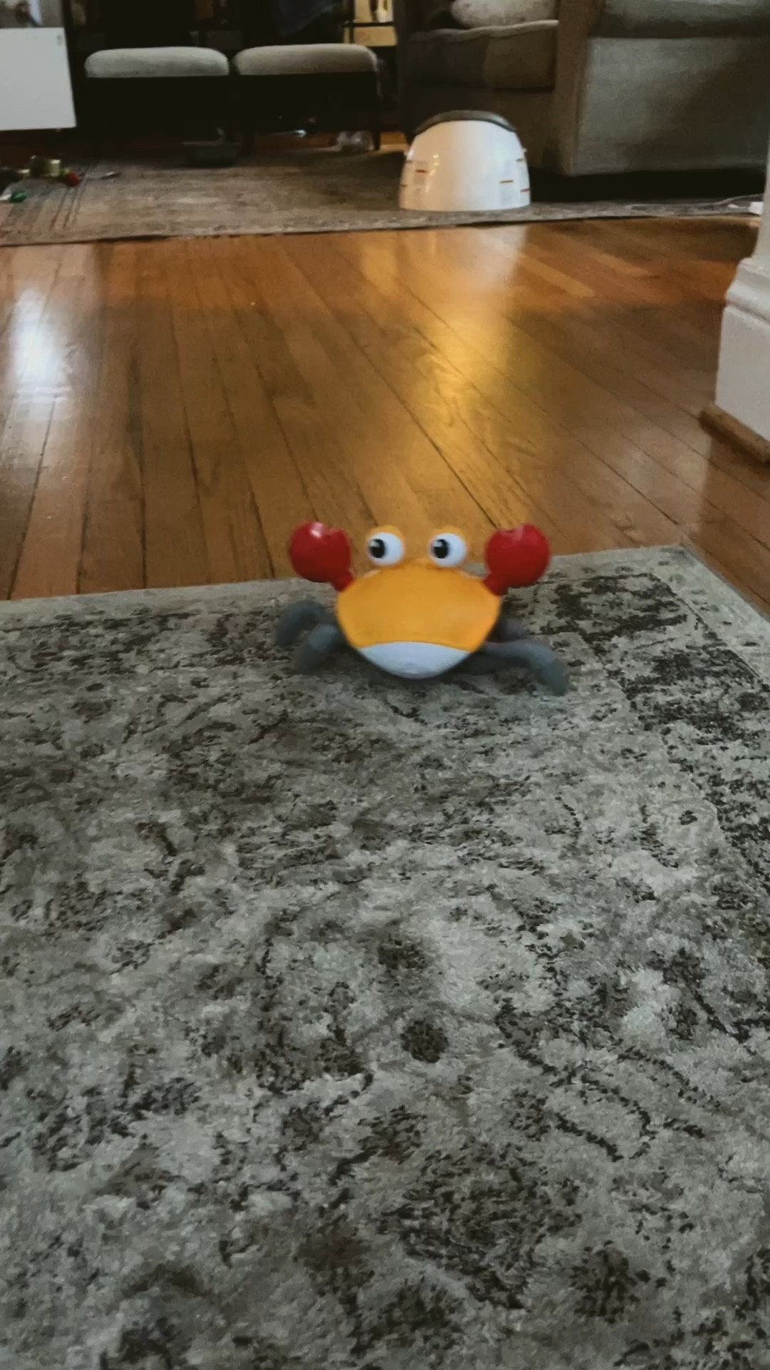 The best baby/toddler toy! 

Toys, toddler toys, must have toys, kid toys, baby toys

#LTKbaby #LTKkids #LTKfindsunder50