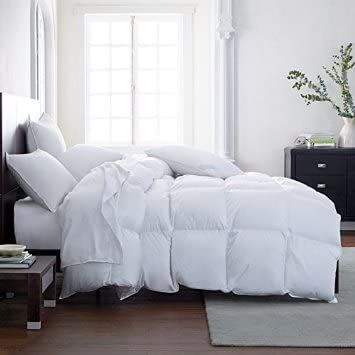 Lavish Comforts The Ultimate Winter Comforter Hotel Luxury Down Alternative Comforter Duvet Inser... | Amazon (US)