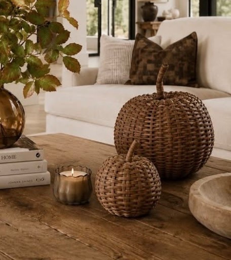 Target new arrivals- love the neutral browns, pumpkins 🤎

#LTKSeasonal #LTKHome