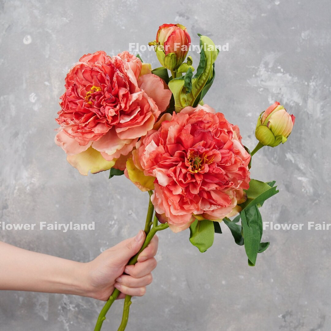 Dried Look Huge Peony with Bud Stem | High Quality Artificial Flower | DIY Floral | Wedding/Home ... | Etsy (US)