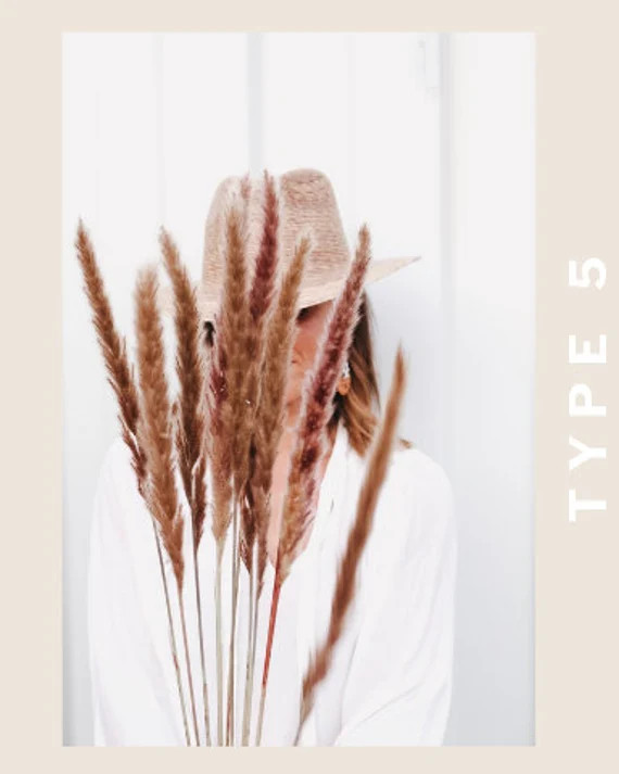 PAMPAS GRASS Type 5 - Natural | Etsy (US)