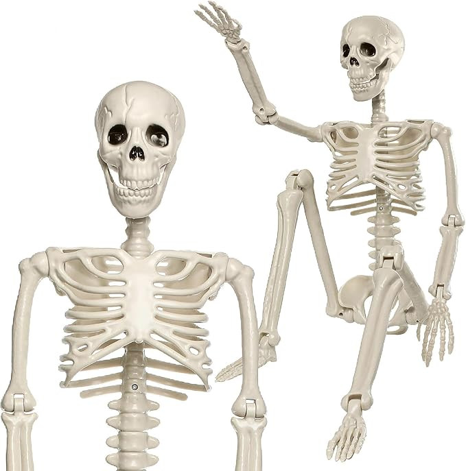 2PCS 3FT Skeleton Decorations, 36" Full Body Posable Joints Skeleton, Plastic Realistic Human Bon... | Amazon (US)