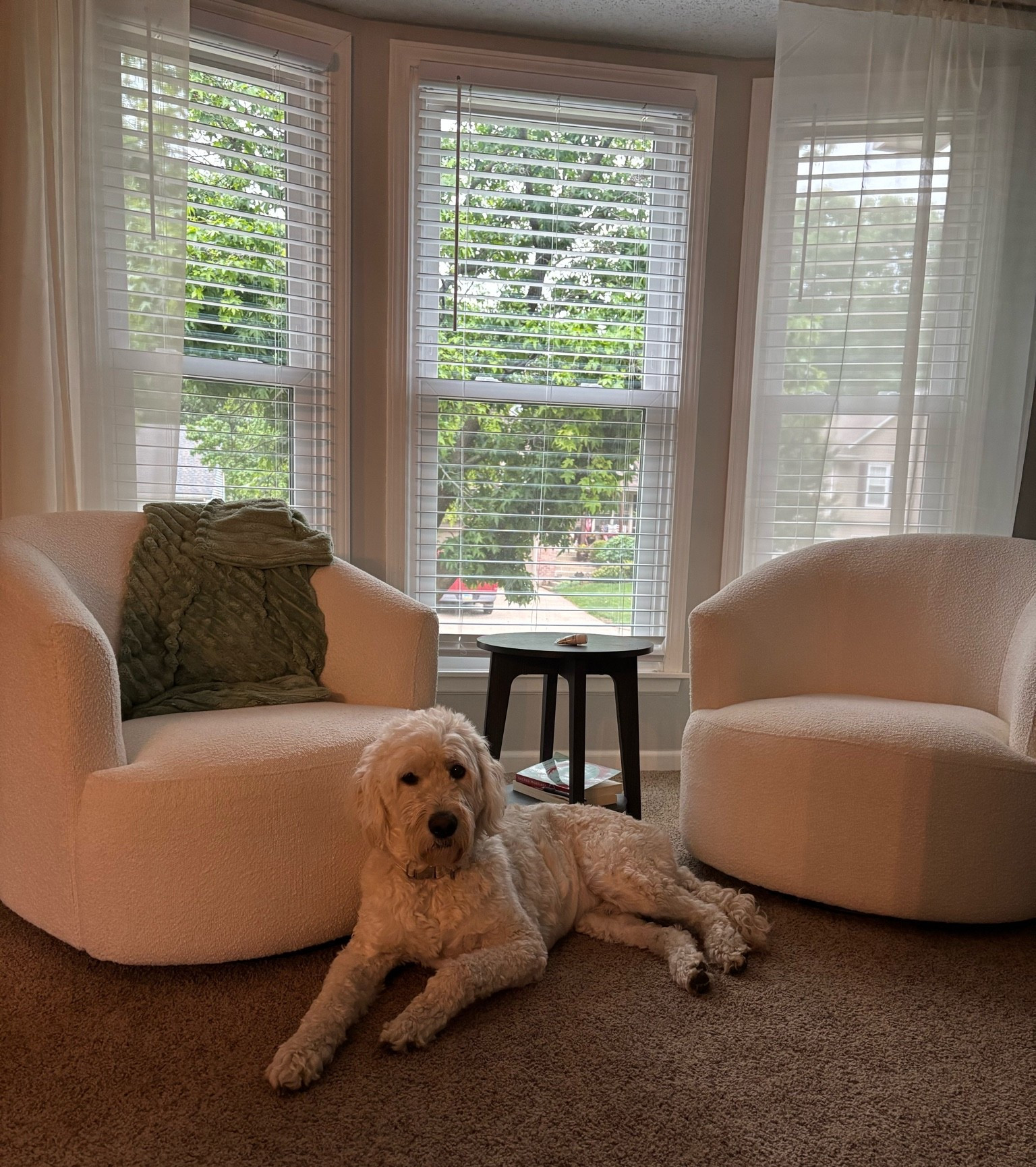 A little reading corner moment ☁️🖤
These cozy fuzzy swivel chairs + our black coffee table made this bay window my favorite spot in the house lately ✨📖 #LTKhome #cozyhome #neutralhome #homedecor #readingnook

#LTKmorningroutine #LTKHome