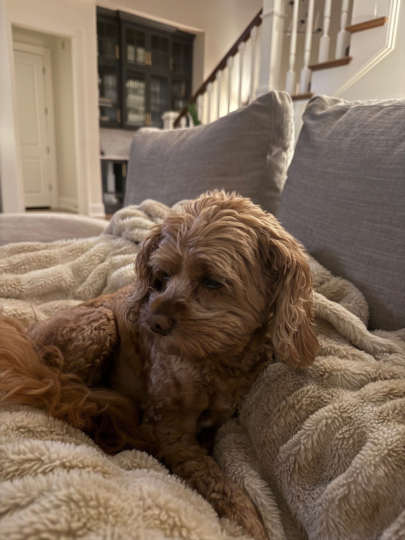 Jeter loveeees lola blankets ❤️

Lola blankets, home, blankets, home blankets, throw blanket, grace white

#LTKSeasonal #LTKHome #LTKOver40