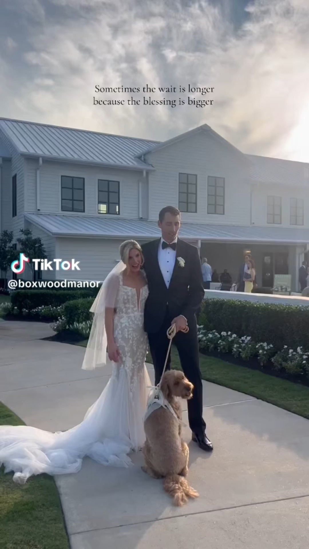 Because every bride needs her best girl 🐶💐 
Our goldendoodle Luca was the sweetest flower girl at our wedding! I found all her wedding accessories on Amazon — from her floral collar to her neutral bow leash.
Shop Luca’s dog wedding outfit, flower collar, and pet wedding accessories below! 
#amazonweddingfinds #dogweddingoutfit #weddingdog #bridalstyle #flowergirldog #weddingaccessories #flowergirl #petaccessories #dogleash #dogharness #weddingday #goldendoodle #weddingdogcollar #dogcollar #dogmom #dogweddingoutfit #weddingshoes #bride #bridesmaid #groom

#LTKActive #LTKPets #LTKWedding