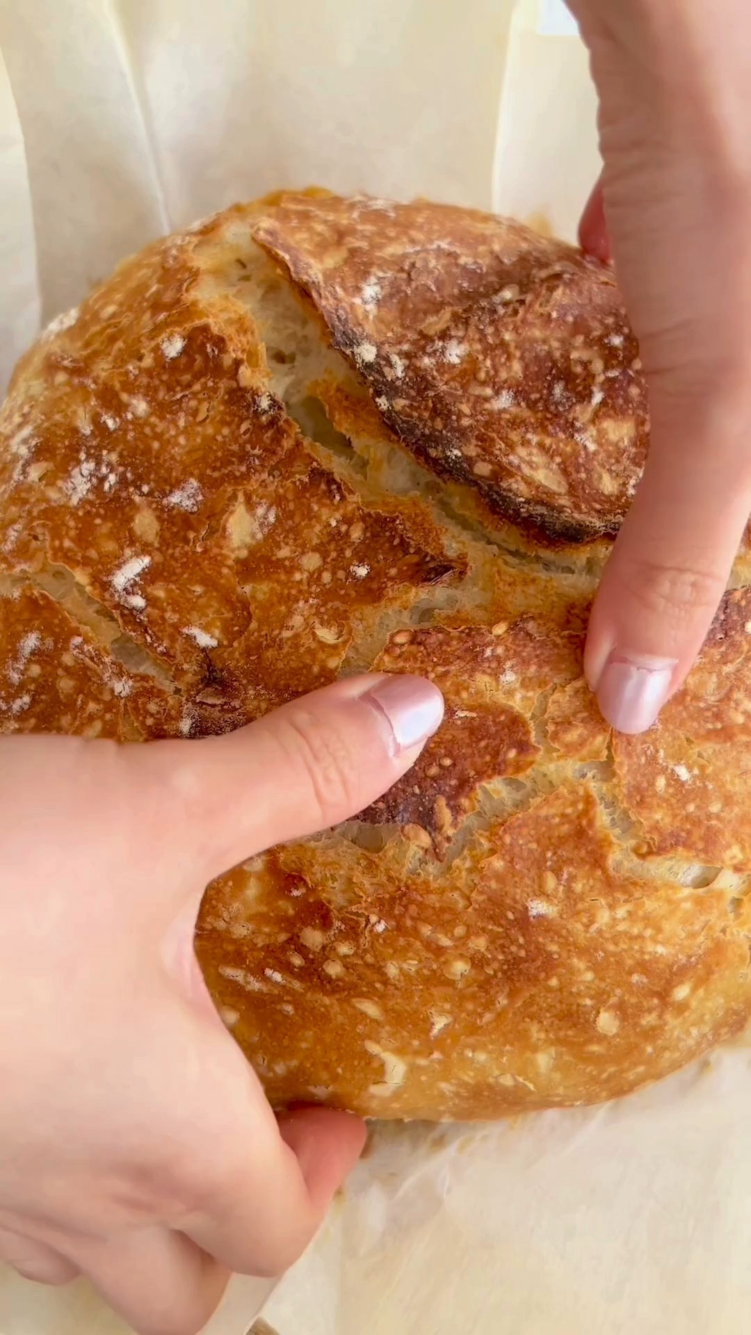 Fresh-baked artisan bread 🥖 No-knead & bakery-worthy! Linked my fave Dutch oven + budget twin + best dough hook.
Recipe https://tastesbetterfromscratch.com/no-knead-bread/

https://tastesbetterfromscratch.com/no-knead-bread/