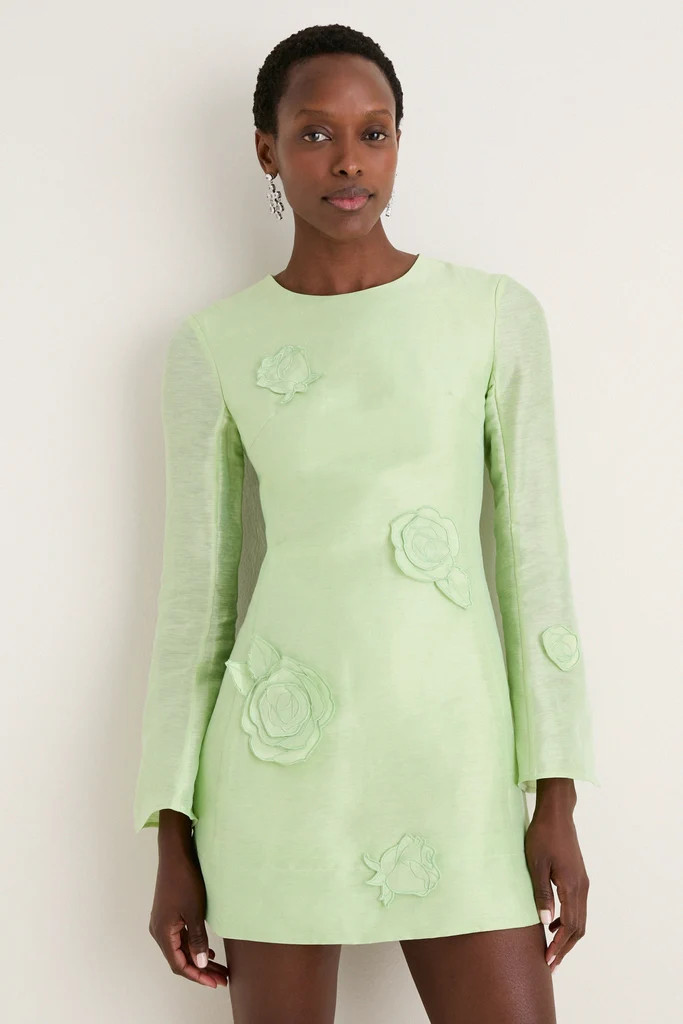 Juniper Green Suzanne Applique Mini Dress | Tuckernuck (US)
