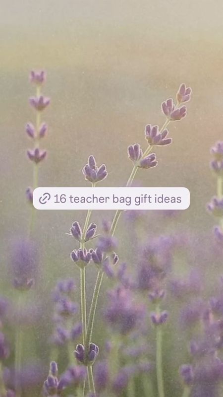 16 Heartfelt Teacher Appreciation Gift Bag Ideas for End-of-School-Year Thanks

Express your gratitude with these creative teacher gift bags! Explore a collection of curated ideas to celebrate the end of the school year and show your appreciation for the hard work and dedication of educators.

Teacher bag, teacher bracelet, teacher end of year gifts, Teacher appreciation gifts, teacher appreciation week, teacher gifts, teacher appreciation gift basket, teacher appreciation, teacher gifts end of year, teacher gift ideas, teacher gifts diy, teacher gift card ideas, teacher basket, teacher essentials, teacher favorite things, teacher gift basket, teacher graduation party

Follow my shop @LetteredFarmhouse on the @shop.LTK app to shop this post and get my exclusive app-only content!

#liketkit #LTKGiftGuide #LTKItBag #LTKFindsUnder50
@shop.ltk
https://liketk.it/4GqU0

#LTKItBag #LTKGiftGuide #LTKActive