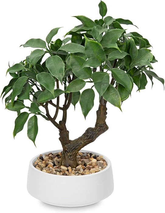Artificial Bonsai Tree, Small Ficus Bonsai Tree 13" Indoor Bonsai Tree Fake Potted Plant Decorati... | Amazon (US)