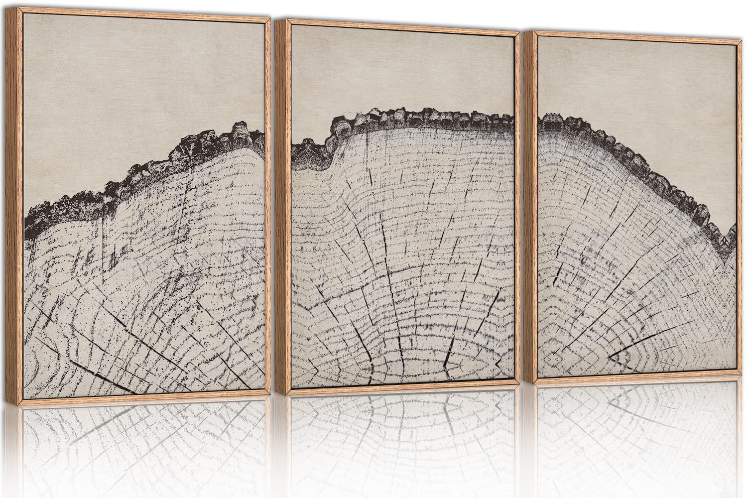 HPINUB Vintage Wood Tree Rings Wall Art Set, Framed Canvas Paintings, Black and White Nature-Inspired Decorative for Modern Home Decor for Living Room, Bedroom, Dining Room, Office- 16"x24"x3 | Amazon (US)