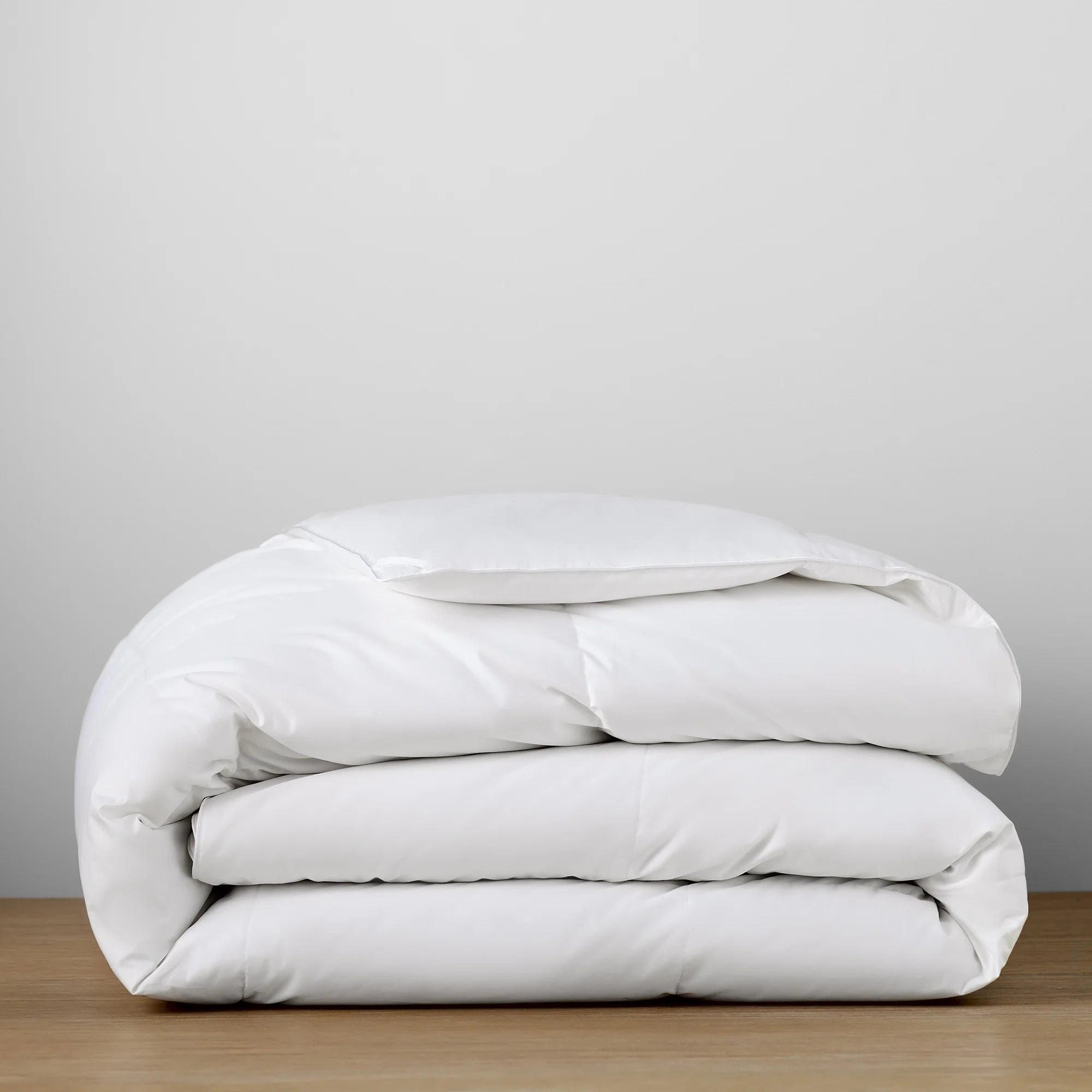 Terron Down Extra Plush Duvet Insert | Wayfair North America