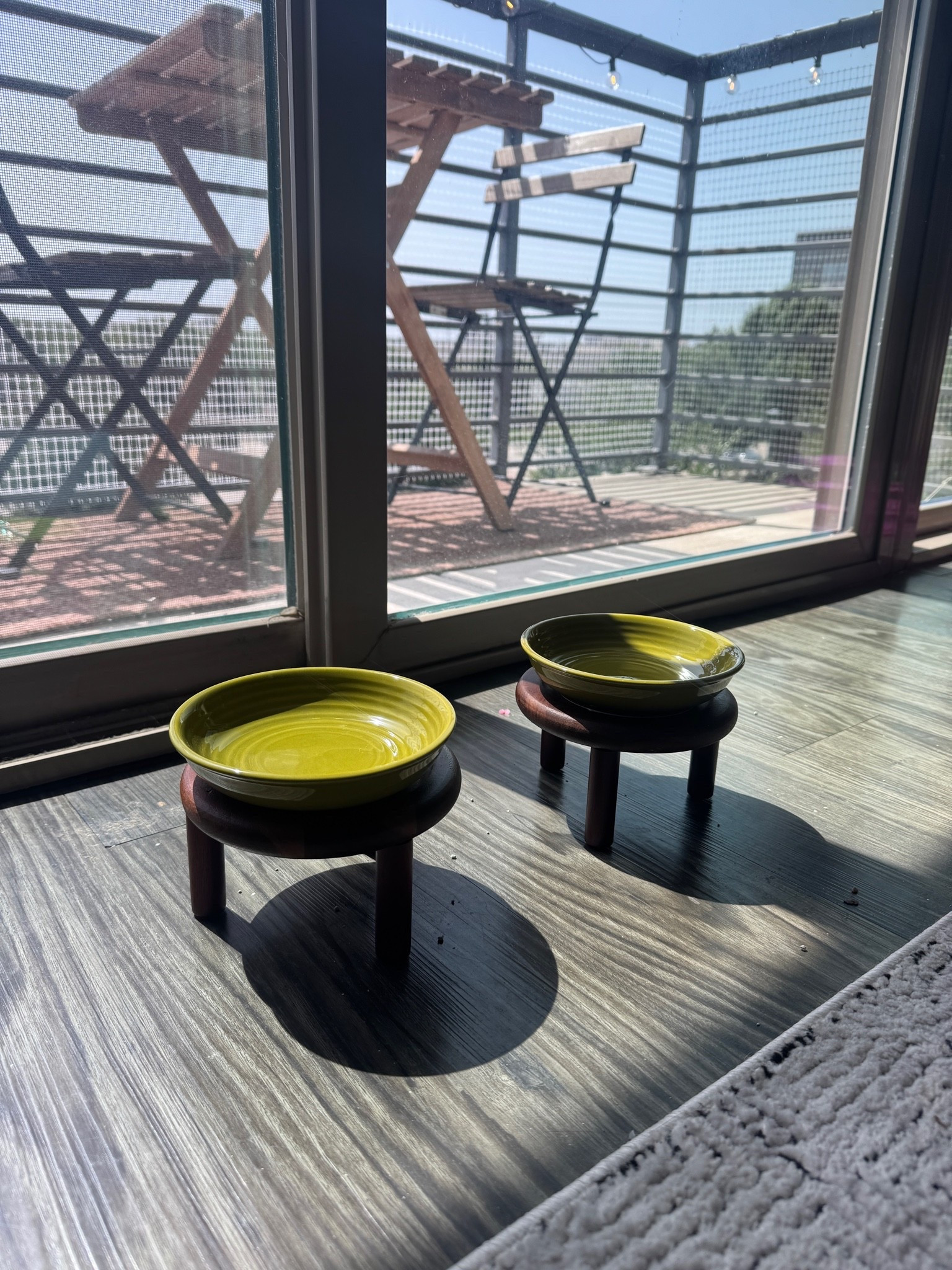 Chic elevated cat bowls🥝

#LTKHome #LTKOver40 #LTKdayinmylife