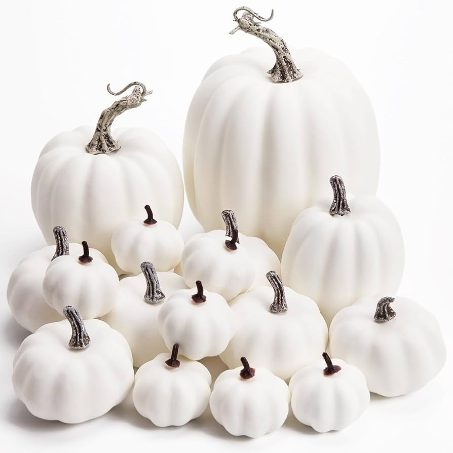 DomeStar Artificial Pumpkins, 16PCS White Fake Pumpkins Assorted Pumpkins Faux Pumpkins Farmhouse... | Amazon (US)