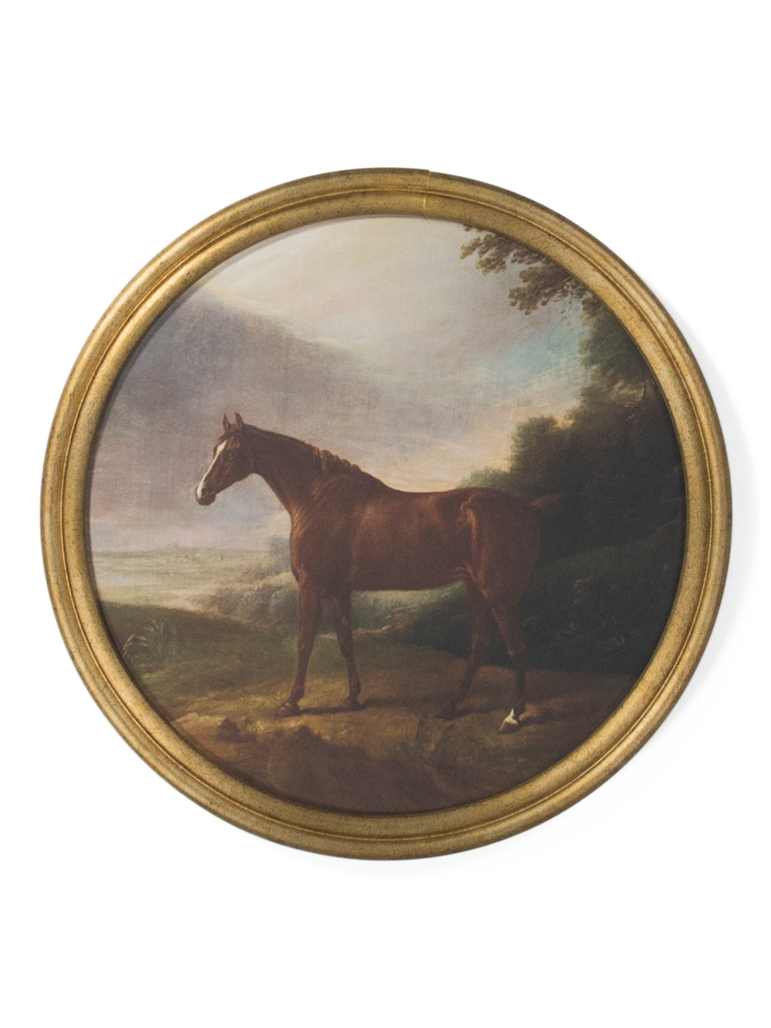 12x12 Golden Pasture Horse Round Frame Wall Art | TJ Maxx