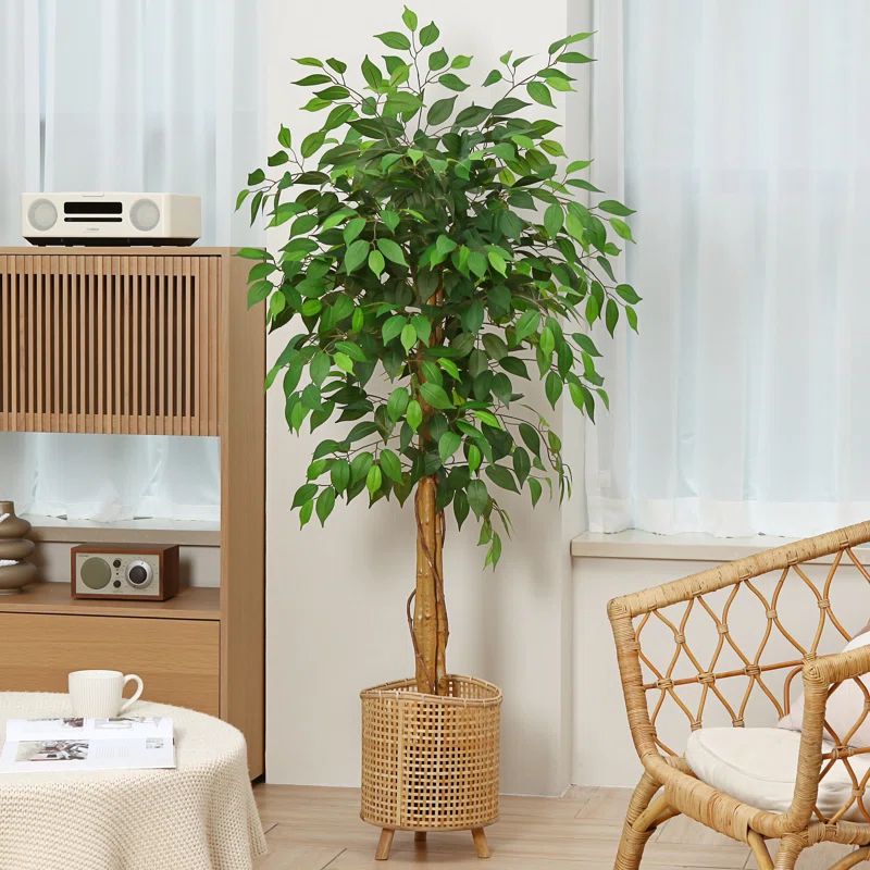 Adcock Artificial Ficus Tree in Pot, Faux Ficus Plant, Fake Ficus Tree for Home Décor | Wayfair North America