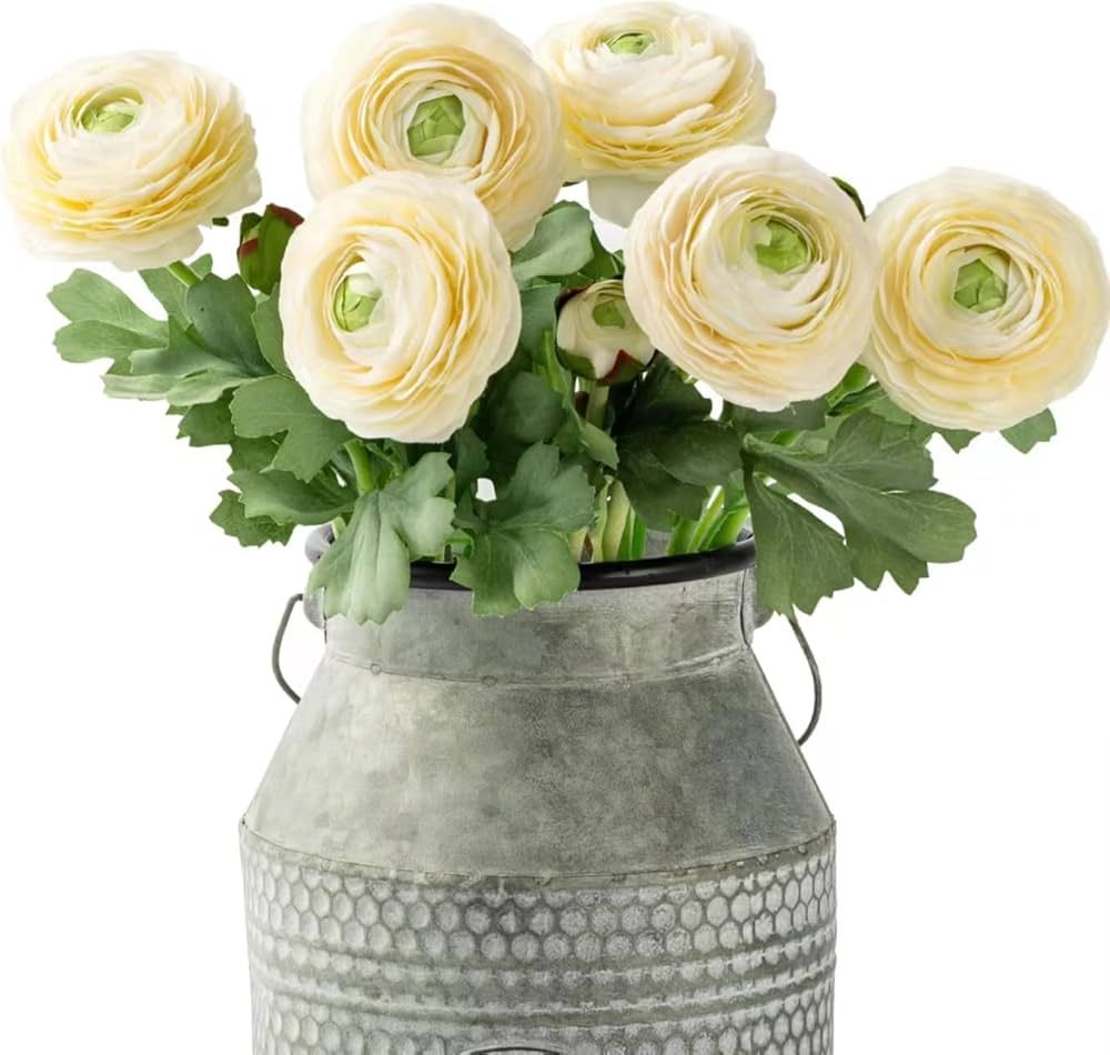 Artificial Ranunculus Flowers with Real Touch Stem 19 Inch, Silk Ranunculus Flowers (6 Pack) (Whi... | Amazon (US)