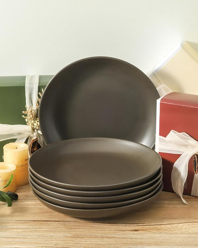 Dinner Plates Set of 6, 10 Inch Stoneware Plates for Salad, Appetizer, Dessert, Farmhouse Dinnerw... | Amazon (US)