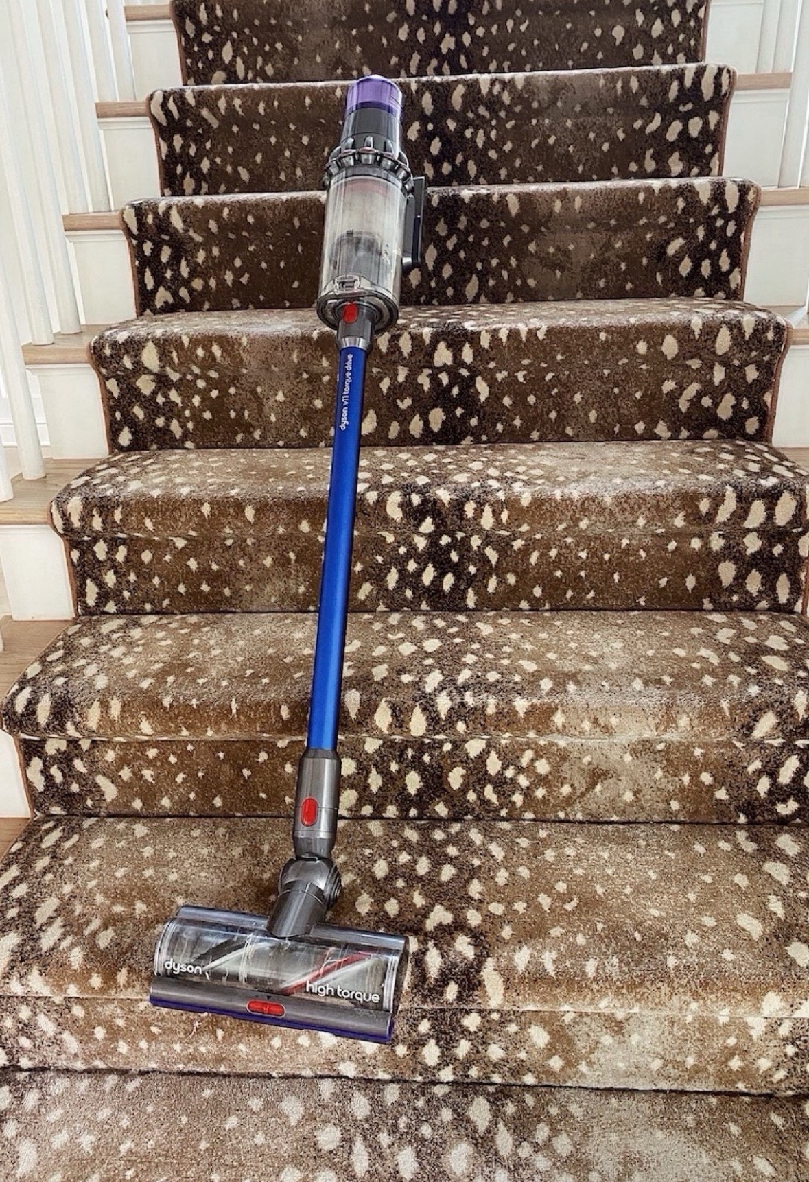 Dyson Vacuum on sale 🛒