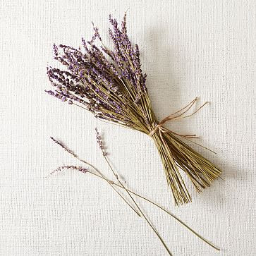 Dried Lavender Stem Bunch | West Elm (US)