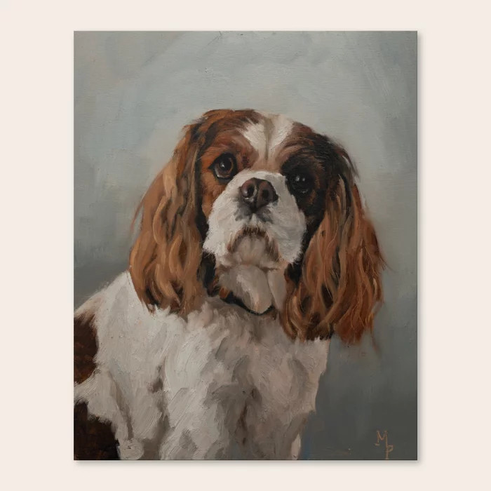 King Charles Cavalier Spaniel Canvas Print | Society6
