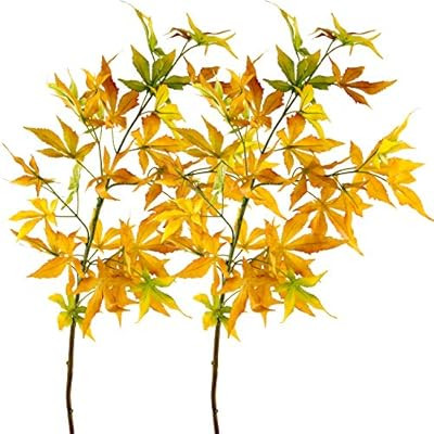 Rinlong Artificial Maple Leaves Branches Fall Leaves Foliage Decor Golden Yellow Auntumn Greenery... | Amazon (US)