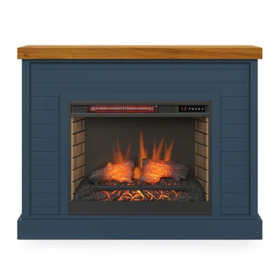 Rimma 48 inch Electric Fireplace | Wayfair North America