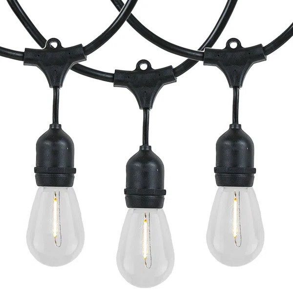 48'' Outdoor 24 - Bulb Standard String Light (End to End Connectable) | Wayfair North America