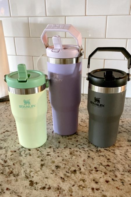 Our matching family Stanley’s are the perfect for summer and back to school cups to take on the go! 

#LTKBacktoSchool #LTKhome #LTKfamily