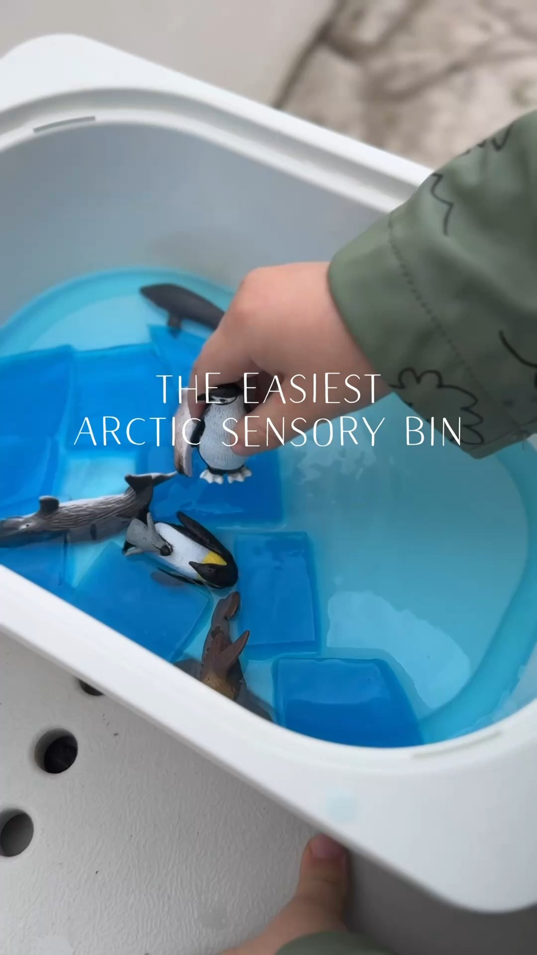 Best sensory bin items for toddlers and preschoolers 🤍 Montessori-inspired, open-ended play for ages 2–4.

These are our go-to sensory play essentials for fine motor development, independent play, and early learning at home:

• clear sensory bin with lid
• kinetic sand for toddlers
• water beads alternative (taste-safe options)
• colored rice sensory filler
• chickpeas & dried beans for scooping
• toddler-safe scoops and measuring cups
• wooden tongs for fine motor skills
• silicone muffin liners for sorting
• Montessori wooden bowls
• themed animal figurines (Arctic animals, ocean animals, farm animals)
• toddler activity trays
• learning tweezers for preschool
• small pitchers for pouring practice
• sensory tools set for kids

Perfect for:
toddler homeschool, quiet time activities, independent play for 2 year olds, fine motor skills development, preschool at home, sensory activities for boys, hands-on learning, practical life skills, and screen-free toddler activities.

These are the best sensory bin supplies for creating themed bins year-round — winter sensory bins, Arctic sensory bins, ocean bins, farm bins, and holiday bins.

Saving this list for later will make homeschool mornings so much easier 🤍


#LTKKids #LTKstorytime #LTKHome