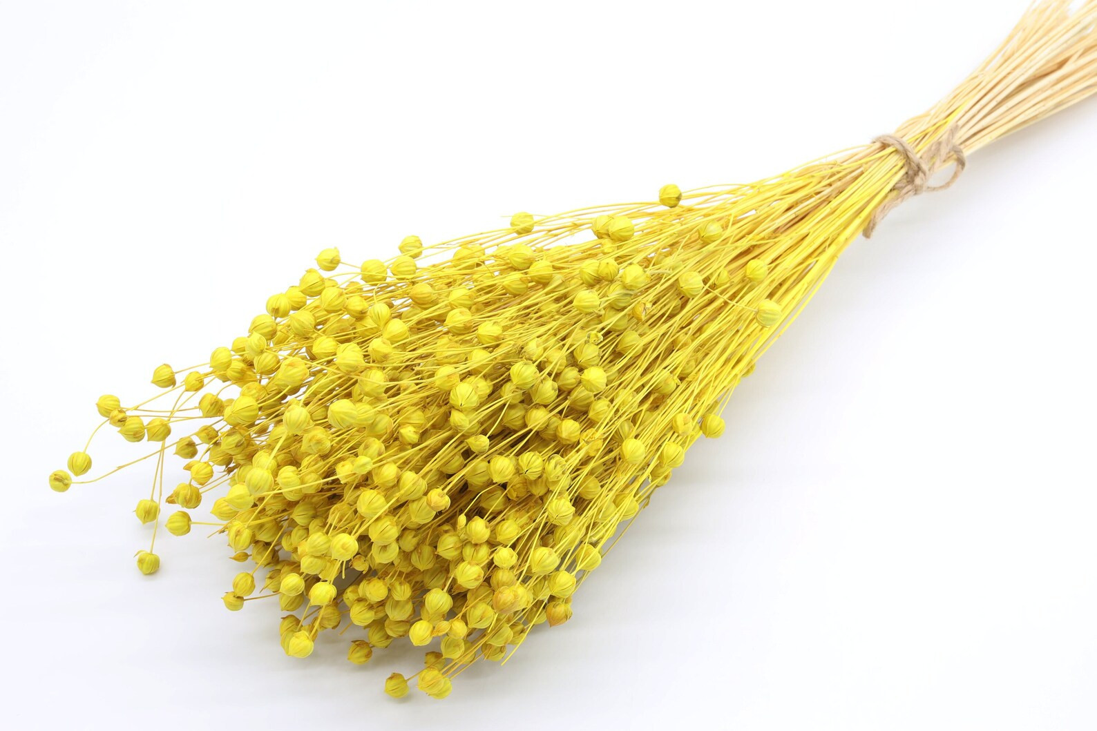 Yellow Dried Linum 80gr  Yellow Dried Flax  Dried Flax Bunch - Etsy.de | Etsy (DACH)