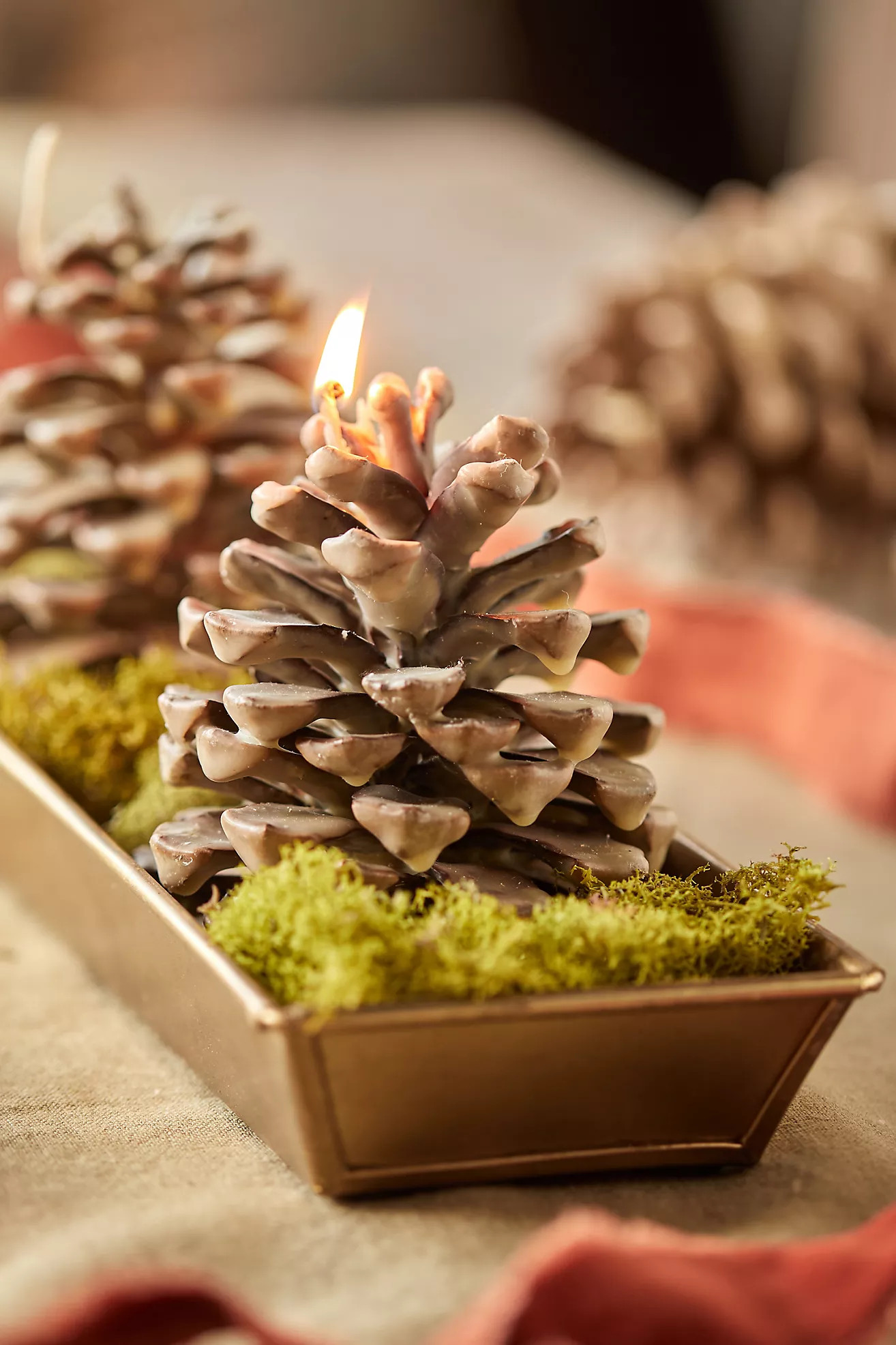 Firestarter Beeswax Pine Cones | Anthropologie (US)