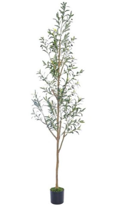 This 7.5ft  faux olive tree is on sale right now for prime days! Go snag it while you can for $68

#LTKfindsunder100 #LTKhome #LTKxPrime