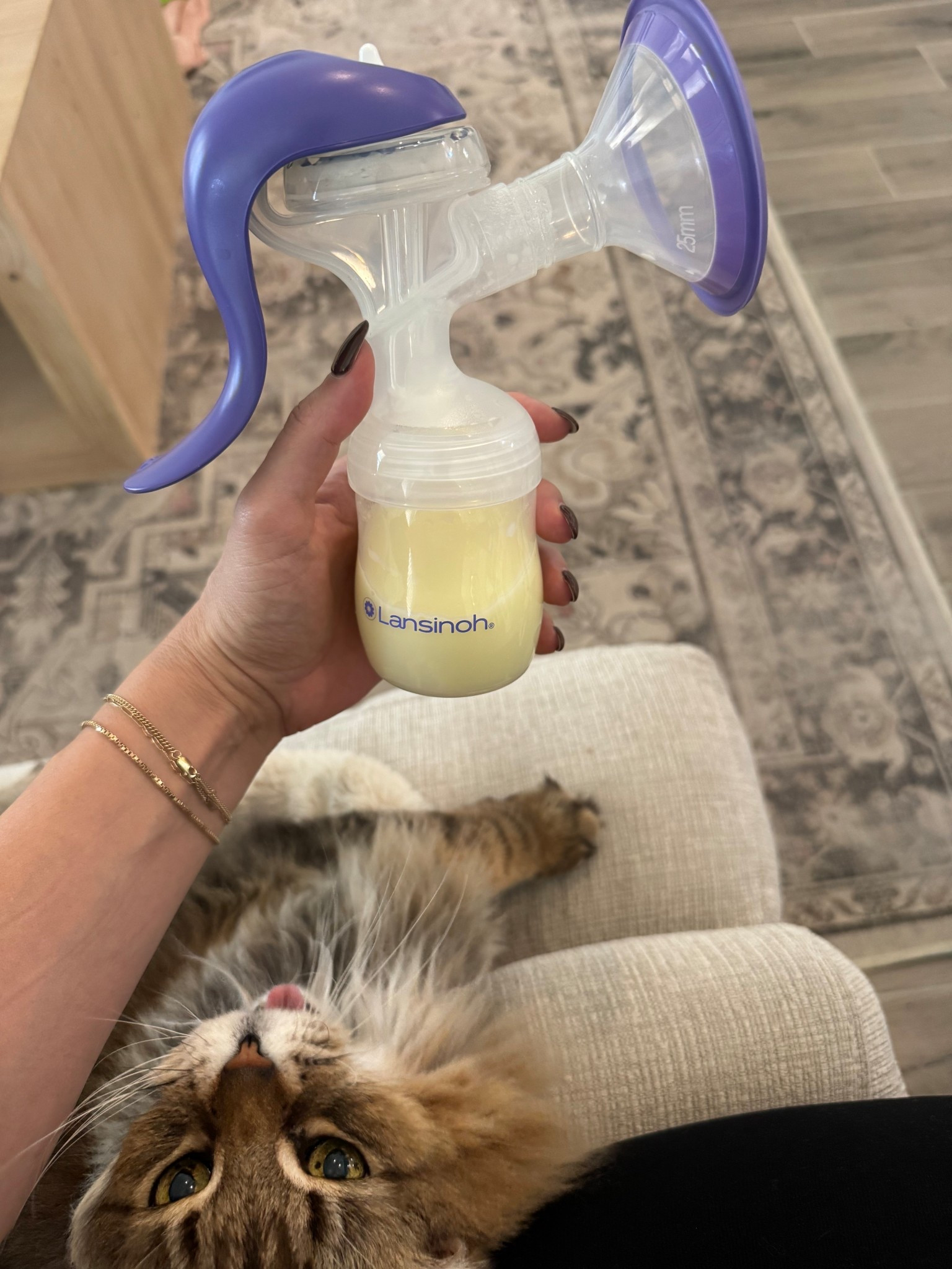 The BEST hand pump for breastfeeding mamas! 

#LTKBaby #LTKmomlife