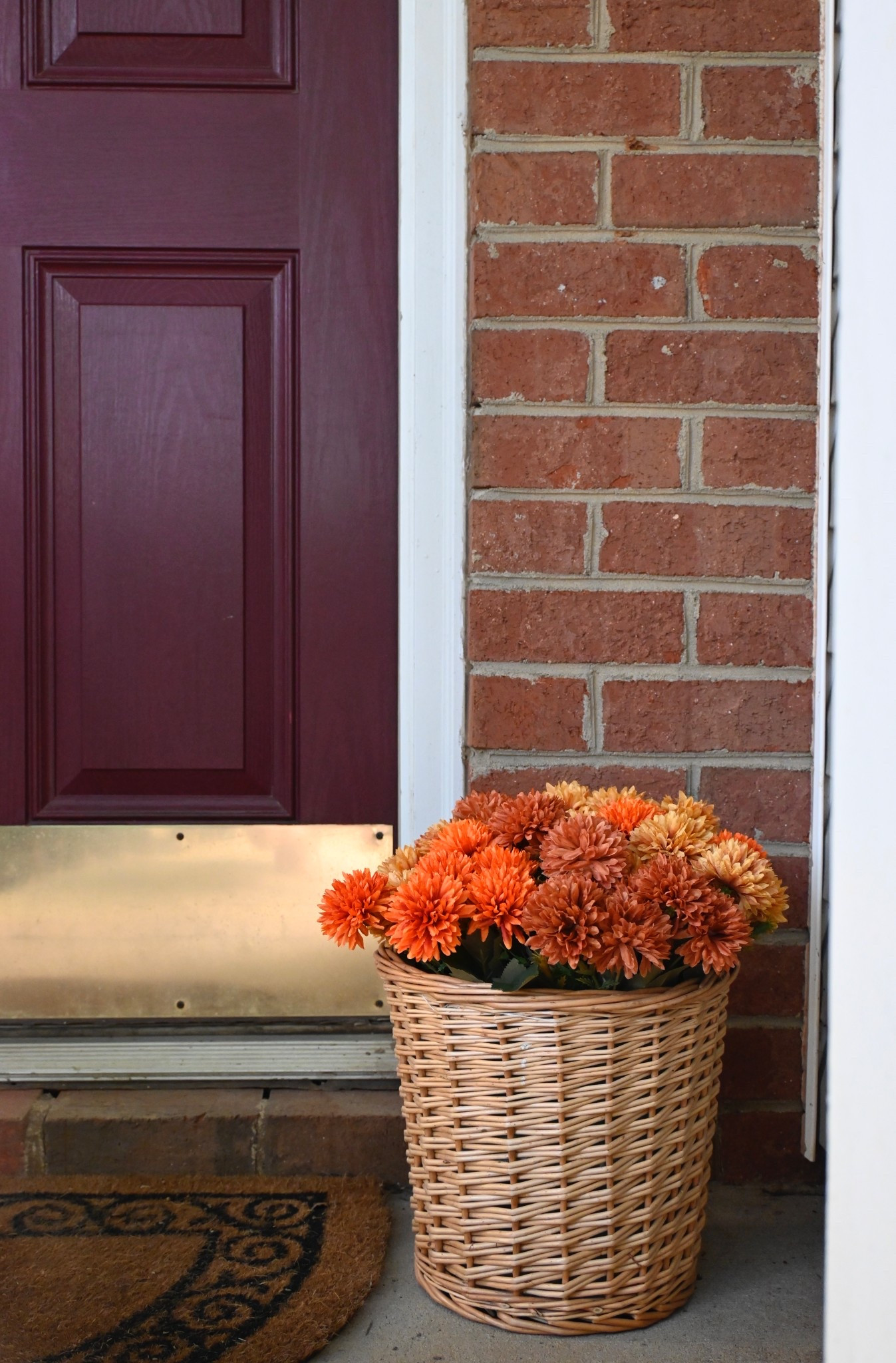 Just a touch of Fall at the front door 🍁


#LTKHome #LTKSeasonal #LTKFindsUnder50
