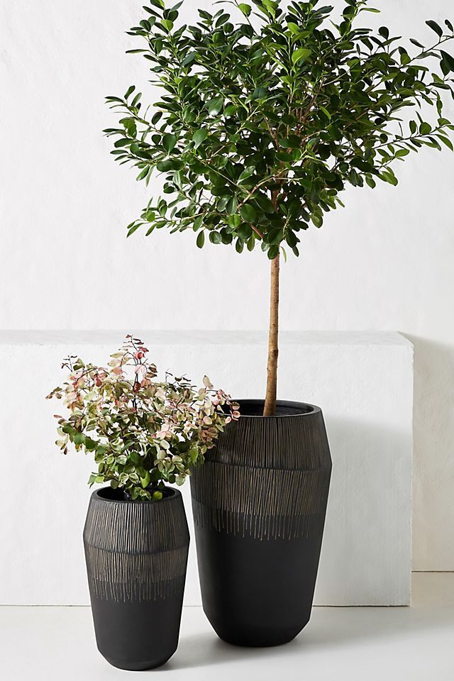 Jeva Planter | Anthropologie (US)