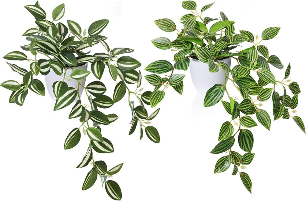 SOGUYI Fake Plants, Artificial Plants 15 Inch Faux Peperomia Watermelon Plants for Indoor Outdoor... | Amazon (US)