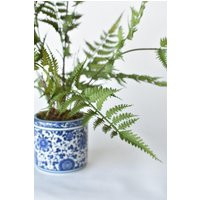 22"" Forest Fern in Blue & White Pot | Etsy (US)