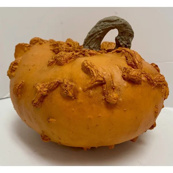 Peanut Pumpkin | Wayfair North America