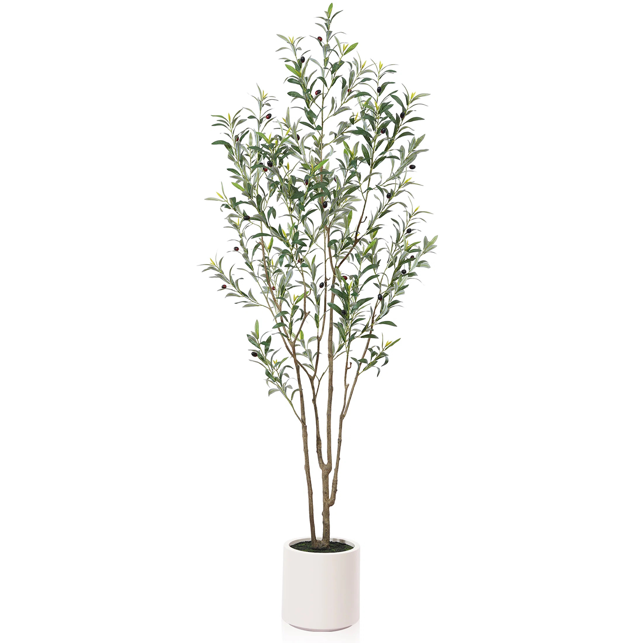 Altman Faux Olive Tree in White Planter, Lifelike Fake Olive Plant for Indoor and Outdoor Decor | Wayfair North America